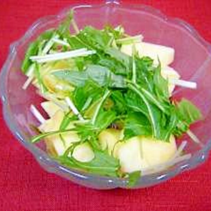超簡単水菜とリンゴのシャキシャキサラダ